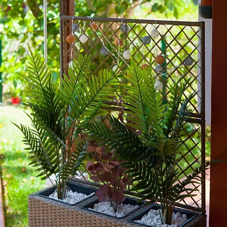 Дом отдыха Tunos Maspalomas Сан-Бартоломе